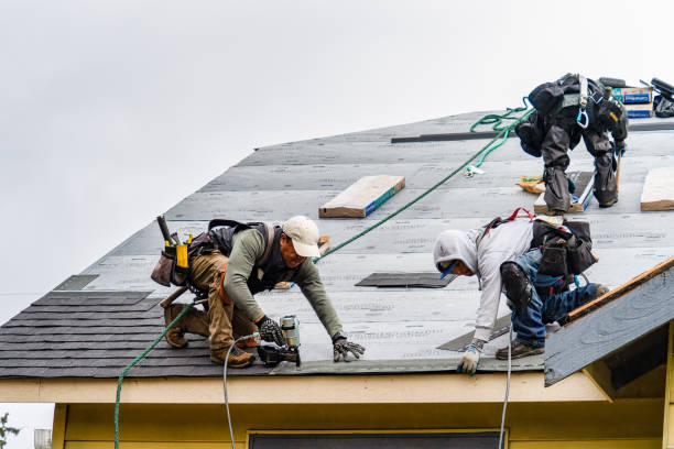 Professional Storm Damage Roof Repair technician working in Candia, NH